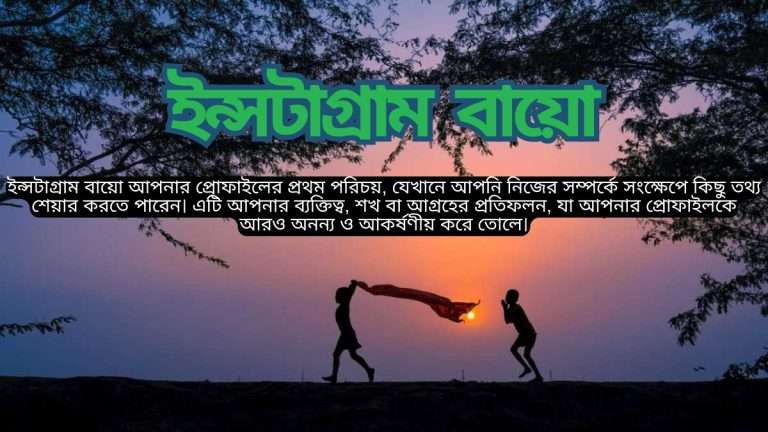ইন্সটাগ্রাম বায়ো